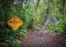 Load image into Gallery viewer, ATIWHAKATU BRIDGE