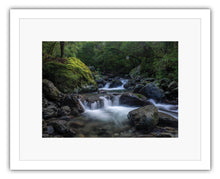 Load image into Gallery viewer, ATIWHAKATU HUT TRACK