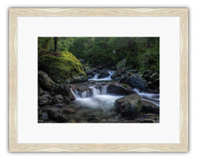 Load image into Gallery viewer, ATIWHAKATU HUT TRACK