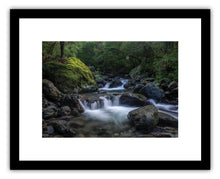 Load image into Gallery viewer, ATIWHAKATU HUT TRACK