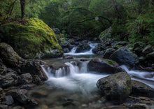 Load image into Gallery viewer, ATIWHAKATU HUT TRACK