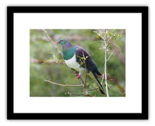 Load image into Gallery viewer, BIRD KERERU