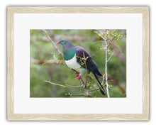 Load image into Gallery viewer, BIRD KERERU