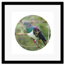 Load image into Gallery viewer, BIRD KERERU