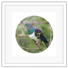 Load image into Gallery viewer, BIRD KERERU