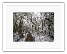 Load image into Gallery viewer, HOLDSWORTH SNOW