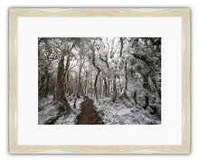 Load image into Gallery viewer, HOLDSWORTH SNOW