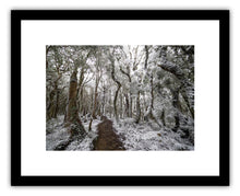 Load image into Gallery viewer, HOLDSWORTH SNOW