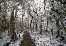 Load image into Gallery viewer, HOLDSWORTH SNOW