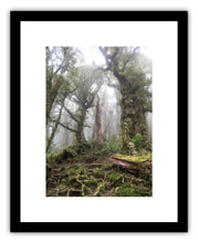 Load image into Gallery viewer, HOLDSWORTH