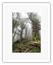 Load image into Gallery viewer, HOLDSWORTH