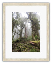 Load image into Gallery viewer, HOLDSWORTH