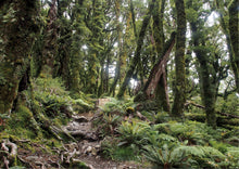 Load image into Gallery viewer, HOLDSWORTH TRACK