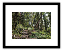 Load image into Gallery viewer, HOLDSWORTH TRACK