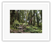 Load image into Gallery viewer, HOLDSWORTH TRACK