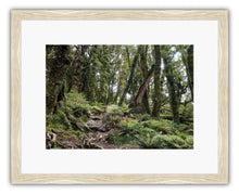 Load image into Gallery viewer, HOLDSWORTH TRACK