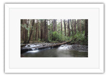 Load image into Gallery viewer, KIRIWHAKAPAPA TARARUAS