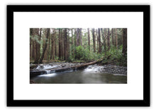 Load image into Gallery viewer, KIRIWHAKAPAPA TARARUAS