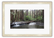 Load image into Gallery viewer, KIRIWHAKAPAPA TARARUAS