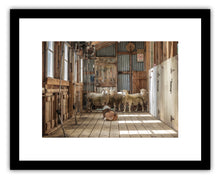 Load image into Gallery viewer, SHEARING SHED WAIATA