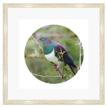 Load image into Gallery viewer, BIRD KERERU