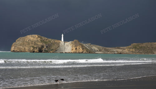 CASTLEPOINT DARK SKY