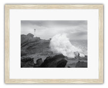 Load image into Gallery viewer, CASTLEPOINT STORM BW 2